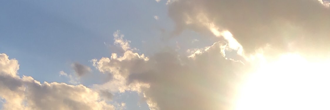rozeyex's profile banner image