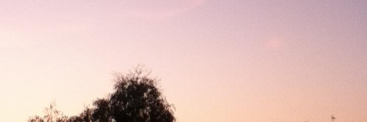 Katia_Vinto's profile banner image