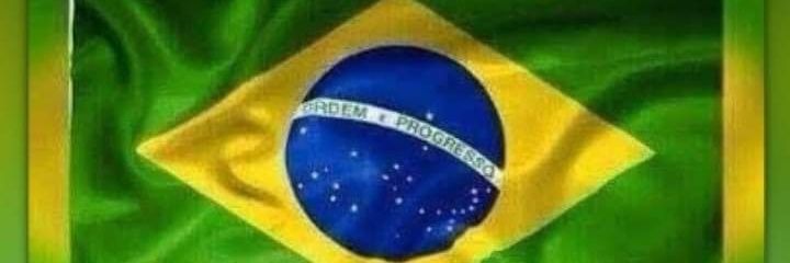 mjbortolin's profile banner image