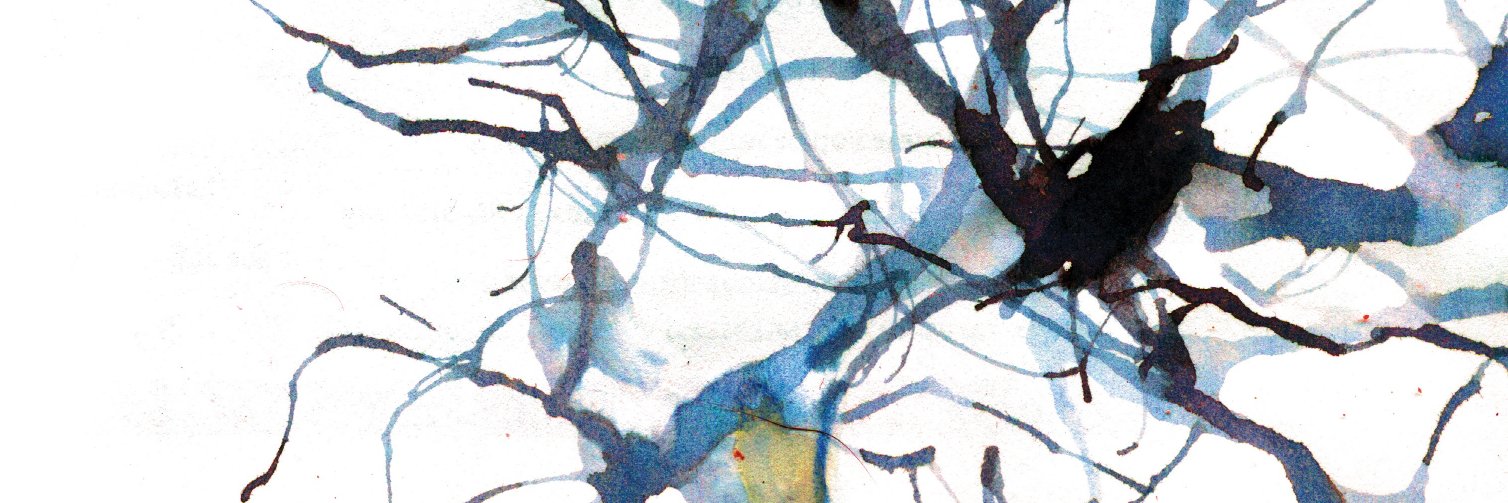 Meaghan Adams banner