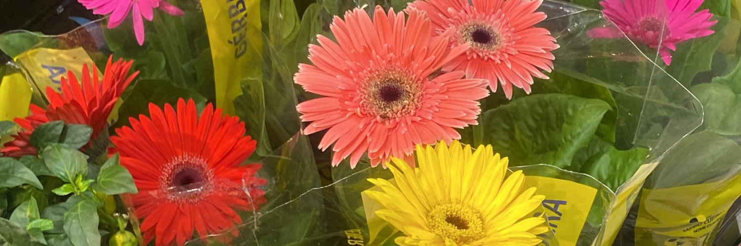 Juhjubiz's profile banner image