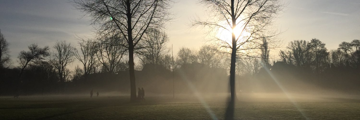 chelosinson's profile banner image