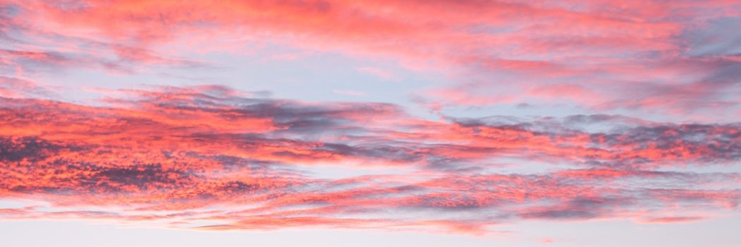mireiafree's profile banner image
