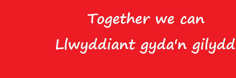 It's Your Wales's banner