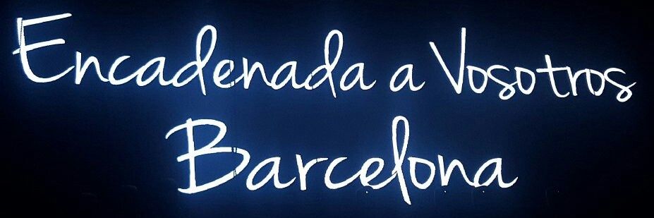 NiceNerea's profile banner image