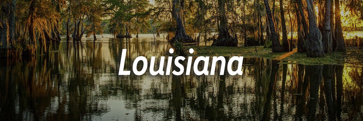lboudloche's profile banner image