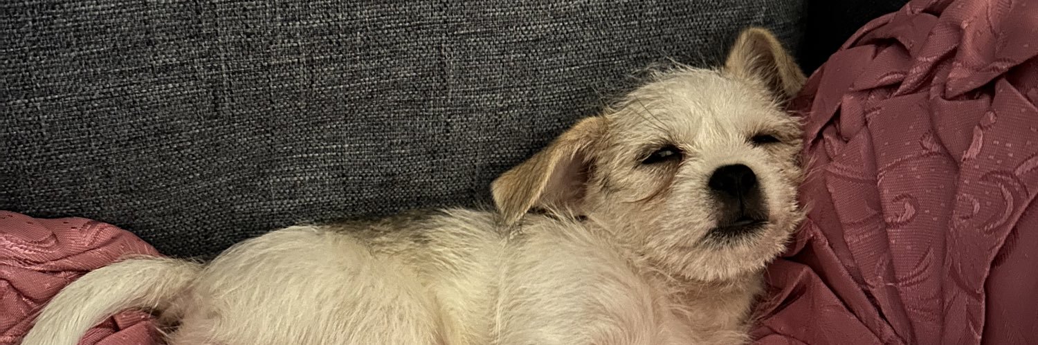 iyellea_'s profile banner image