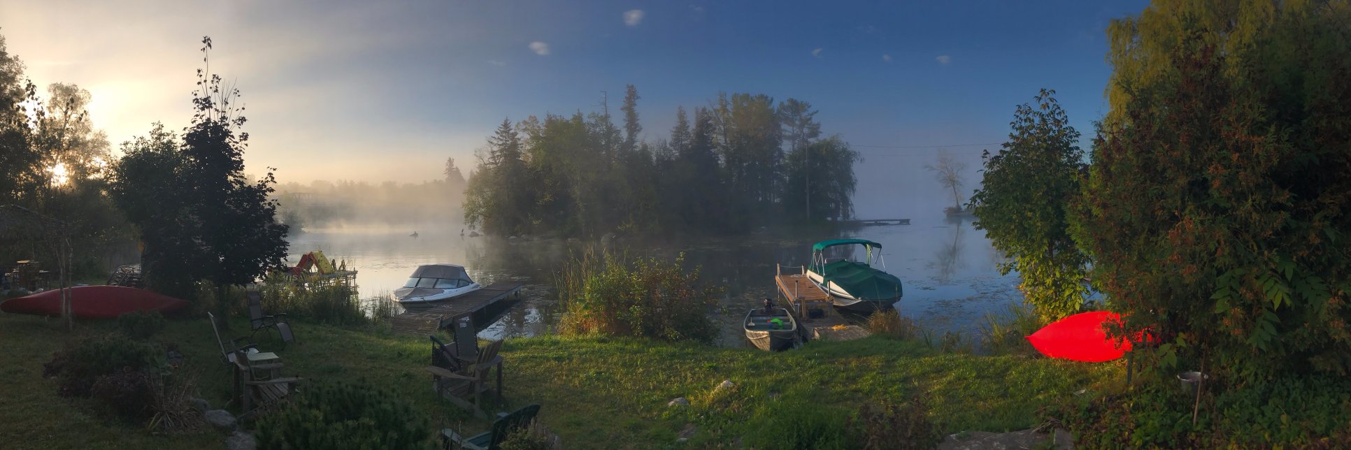 vogel_bean's profile banner image