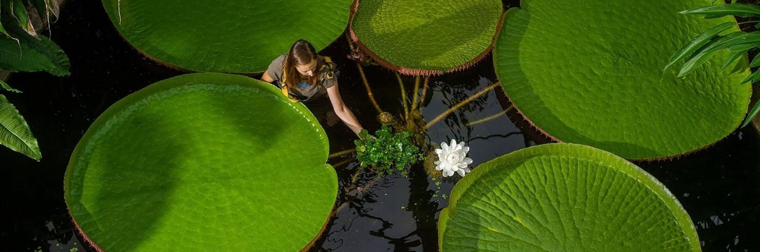 Event Experts banner