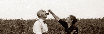 Aubert&Mascoli Wines banner