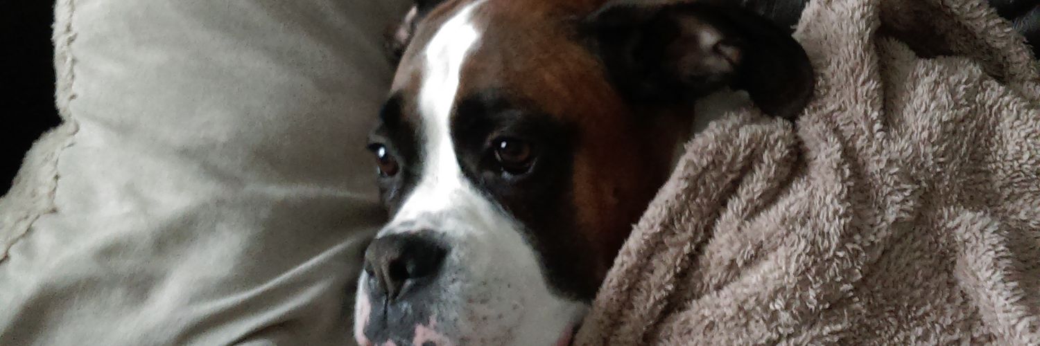 aliriley68's profile banner image