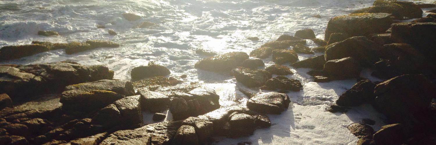 Lucy_Zeka's profile banner image