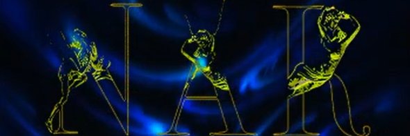 narrokh's profile banner image