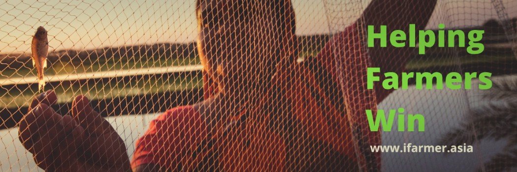 IfazFahad's profile banner image