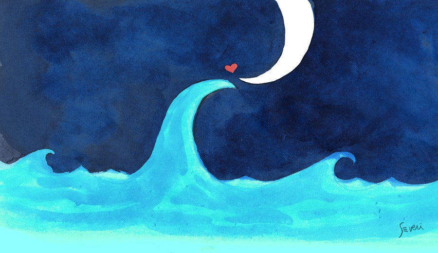 Sari_mr's profile banner image