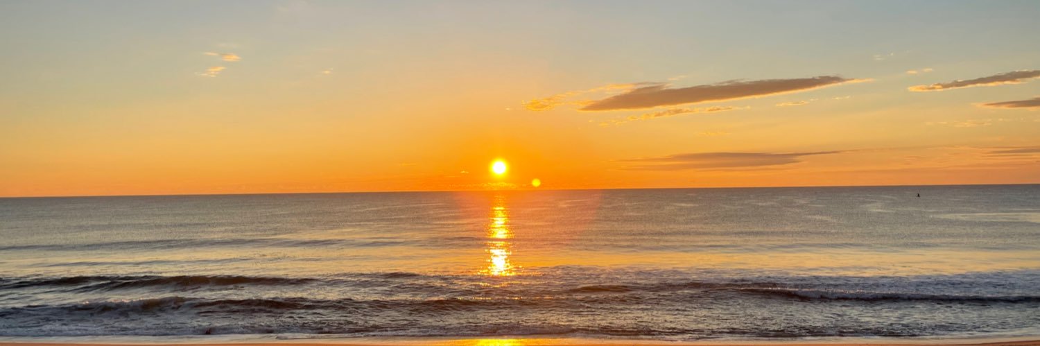 Kelly 🌻🍀⚾️🌵💛🇺🇦💙🌊 banner