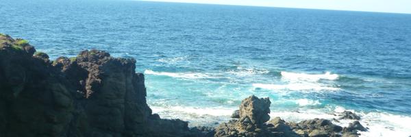andrealbr Profile Banner