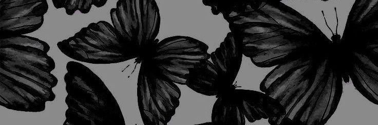 bebasacco's profile banner image