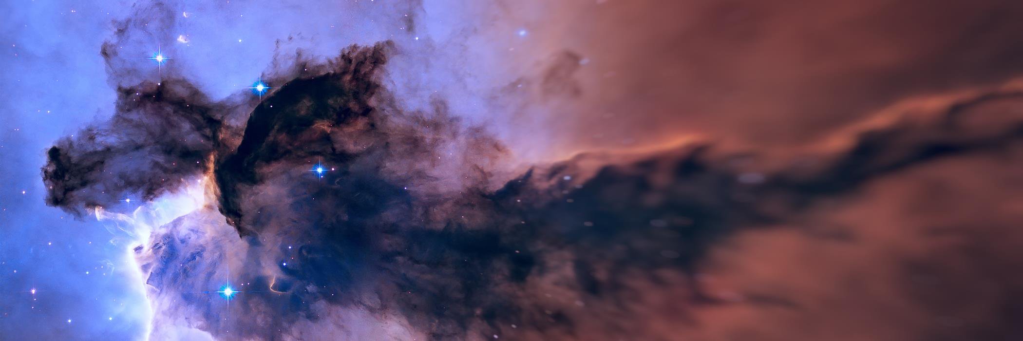 TeaganBrody's profile banner image