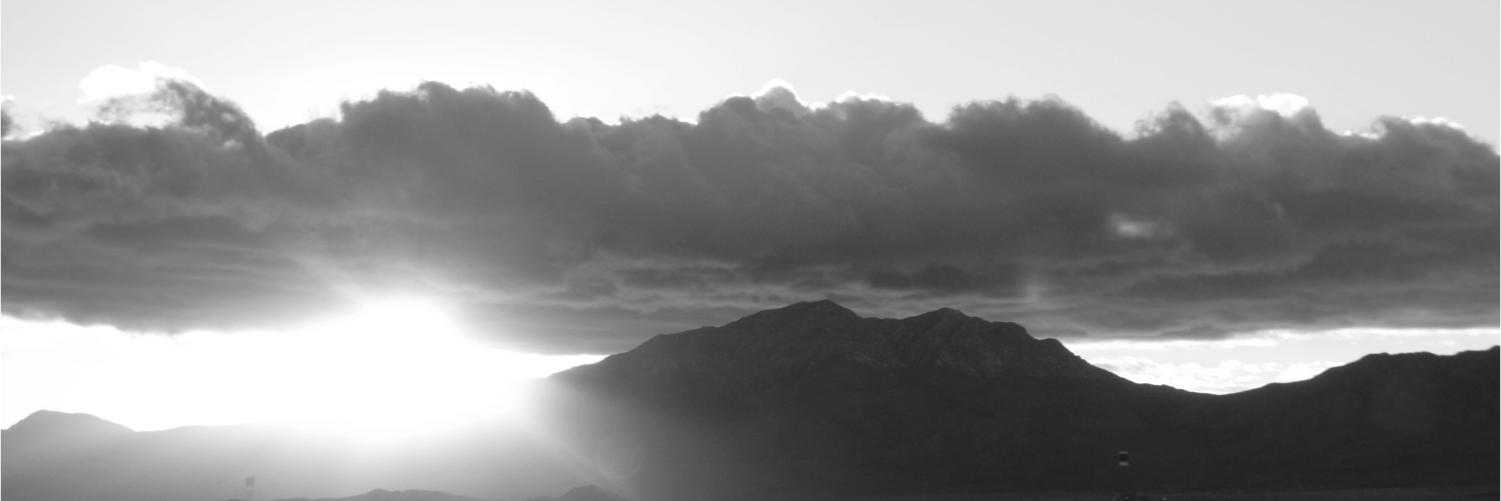 Christy_Chao's profile banner image