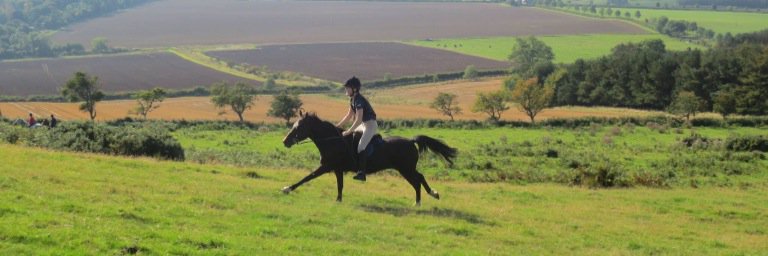 __katyyyyy__'s profile banner image