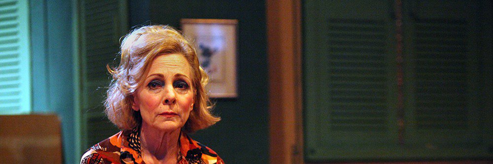 dianavolpe's profile banner image