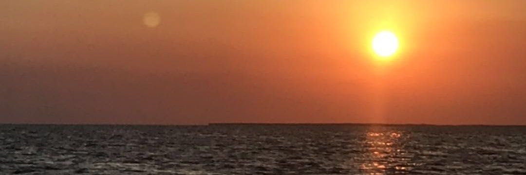 llcoolb22's profile banner image