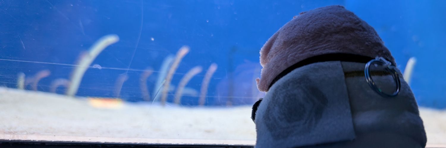 _disperso's profile banner image