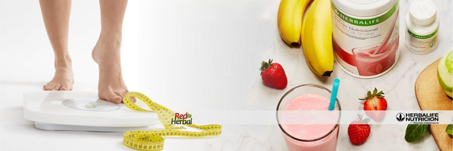 MonicaMoraHbl's profile banner image