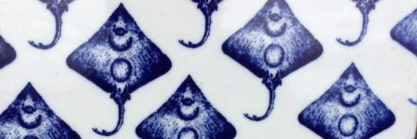 echinonerd Profile Banner