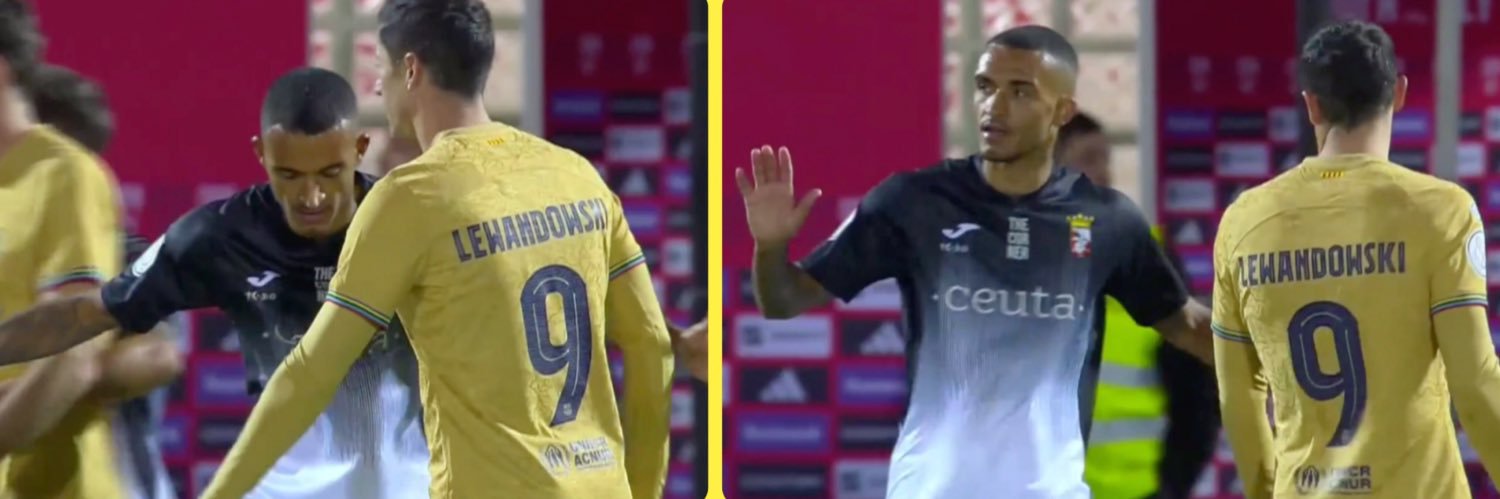 Robin Lafarge banner