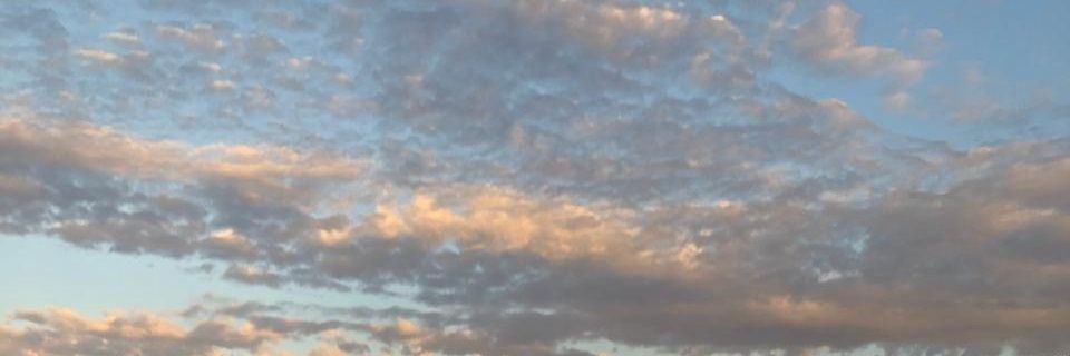 AvrilOlmos's profile banner image