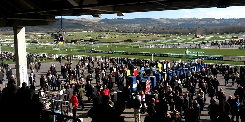 Jordan Cringles banner