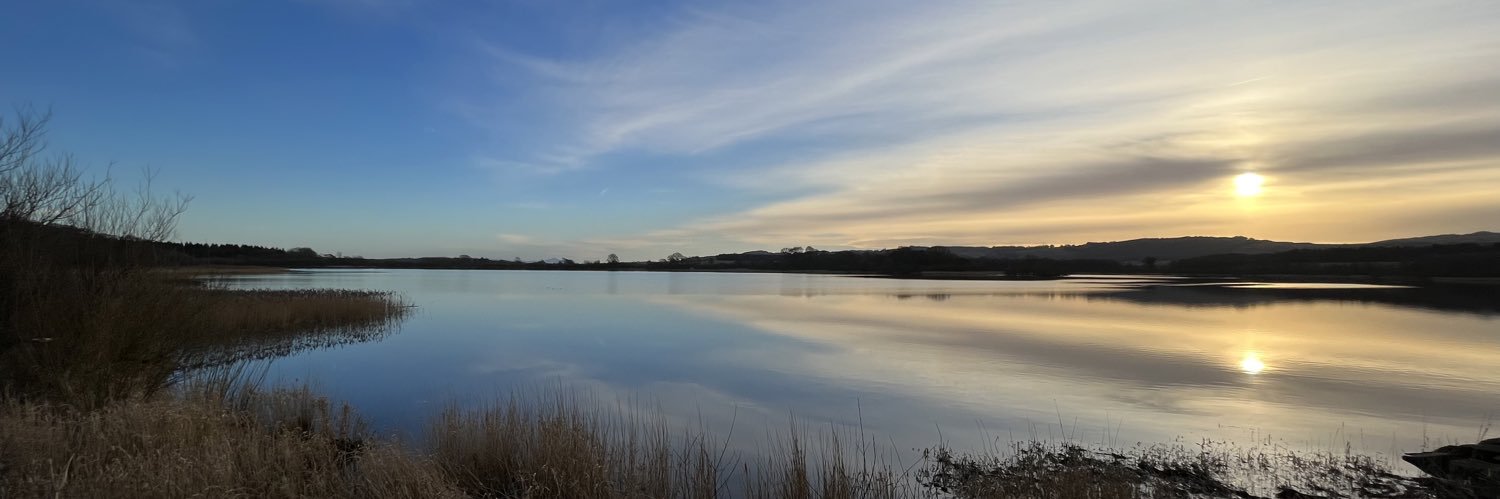 Sandy McCracken banner