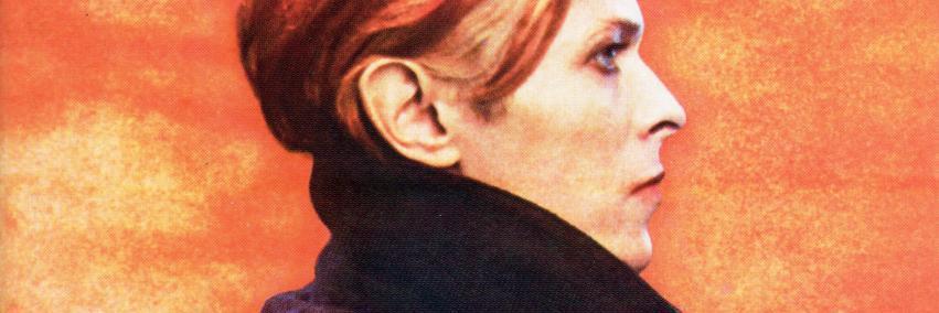 Darren Newton banner