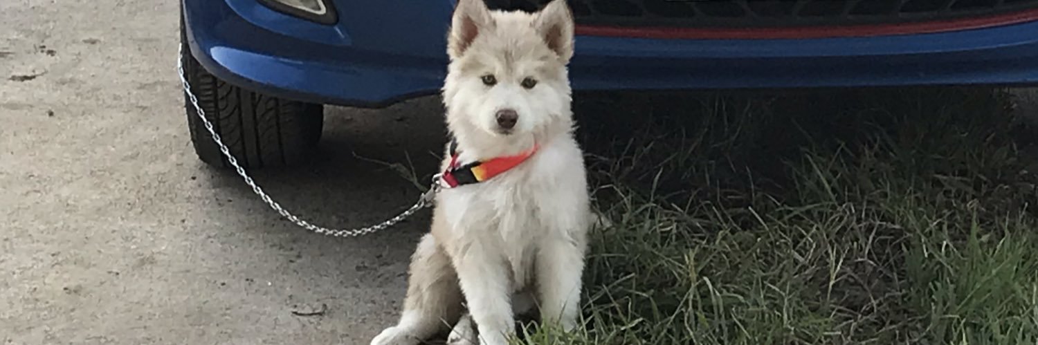 KellyClaros1's profile banner image