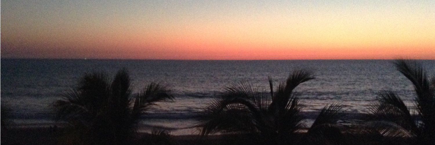 LunaCrisan's profile banner image