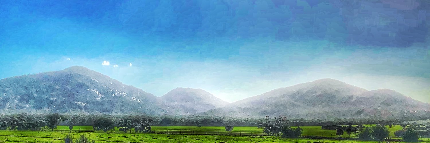 pulpfacts's profile banner image