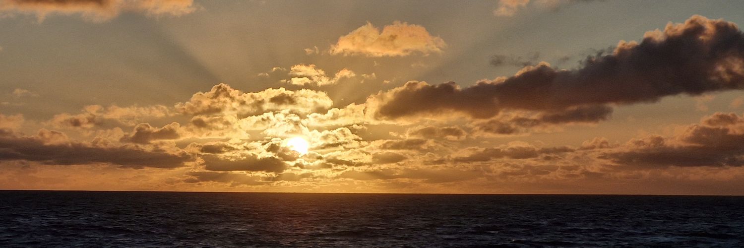 Sarah Janczura banner