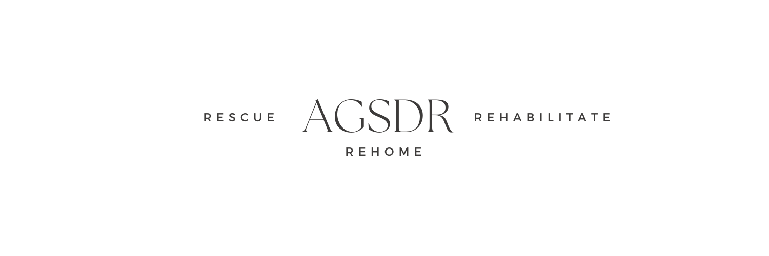 Austin German Shepherd Rescue banner