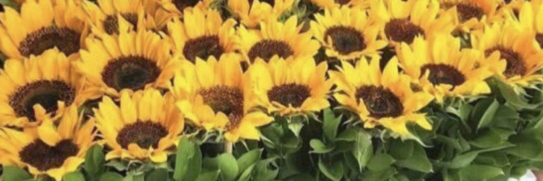 Eriy_b's profile banner image