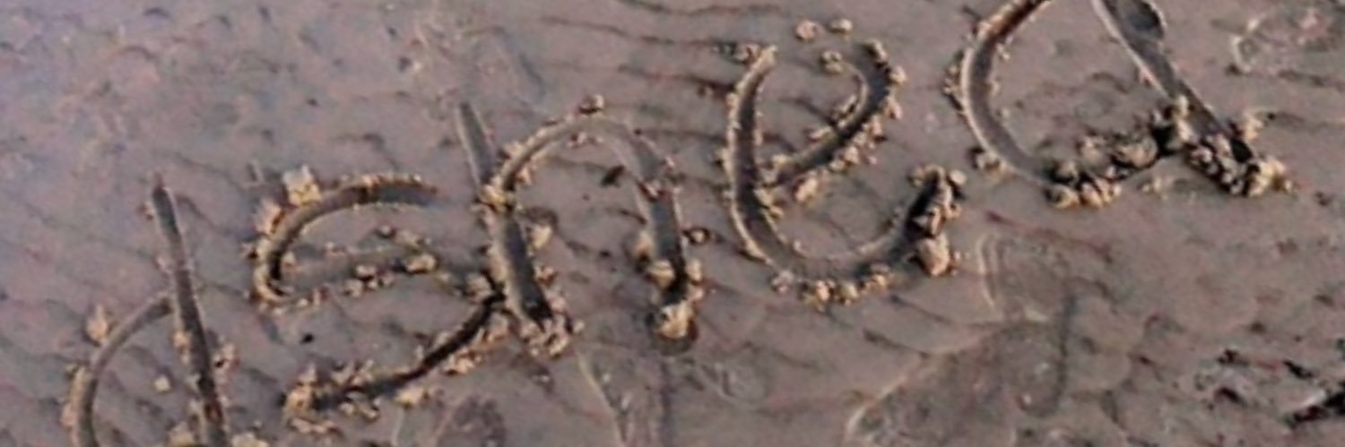 iibeshantee's profile banner image