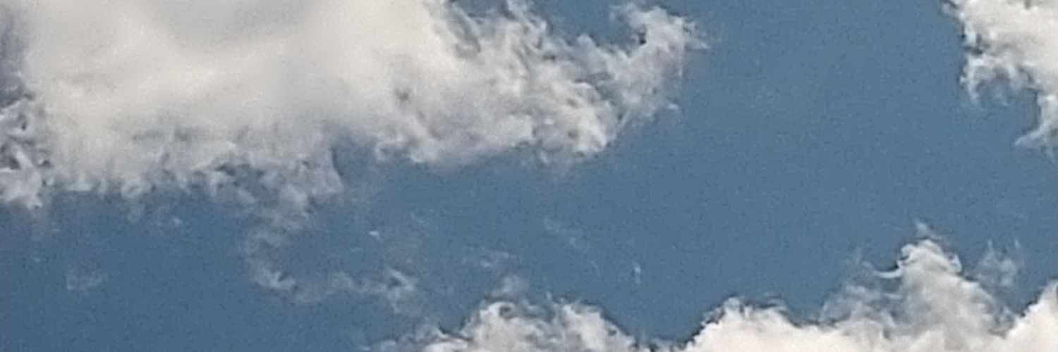 bibiann55's profile banner image