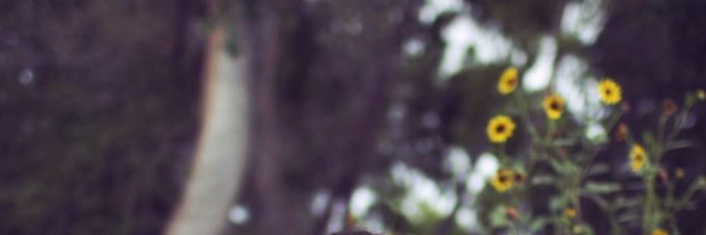zshosh09's profile banner image