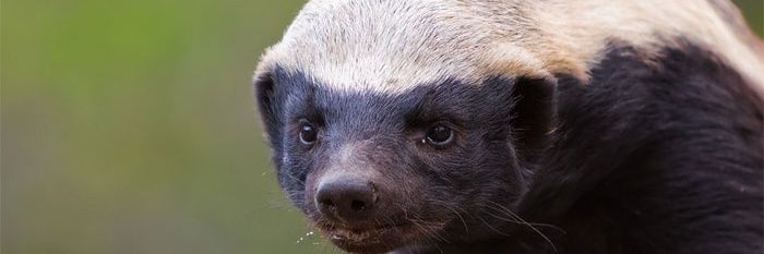 6ap_cuk's profile banner image