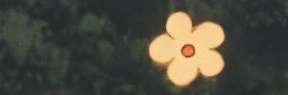 cabiebo's profile banner image