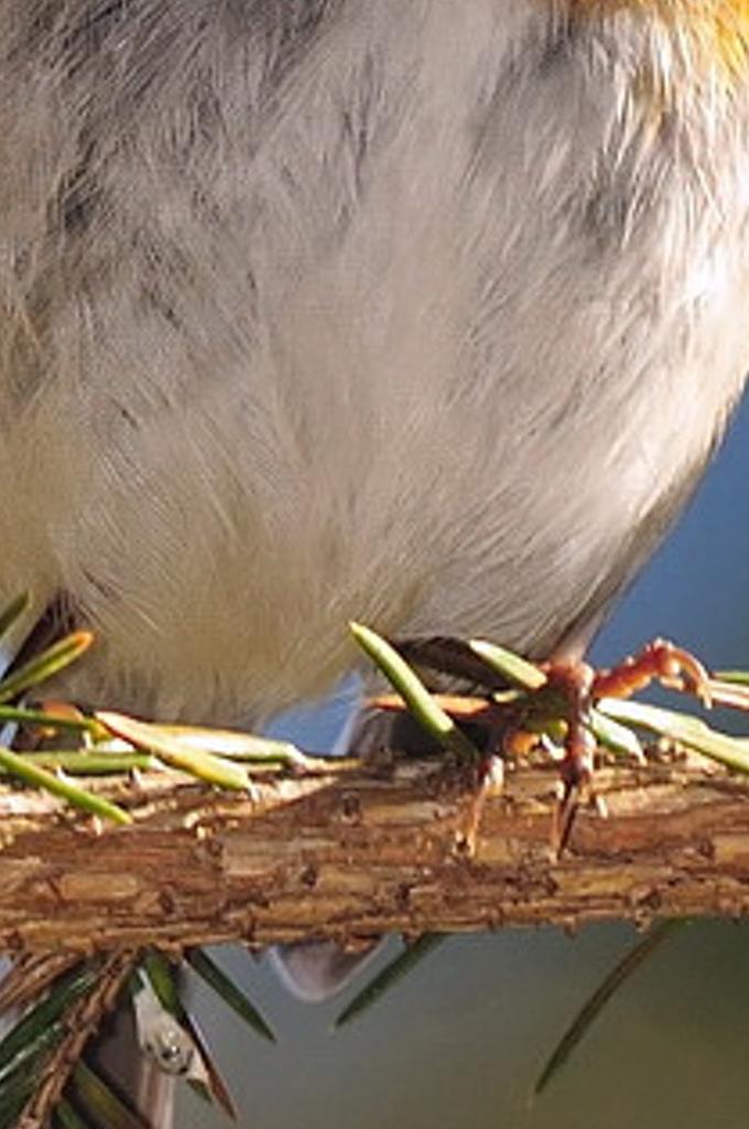 galmoting's profile banner image