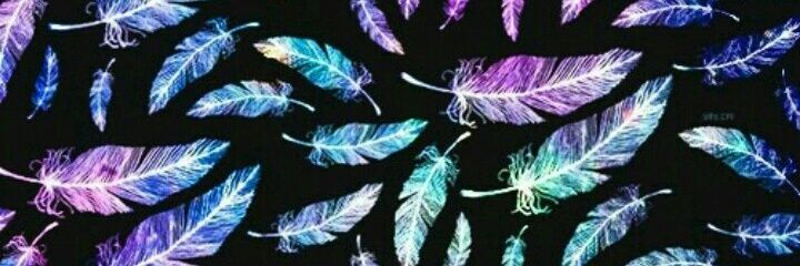 Mabee_05's profile banner image