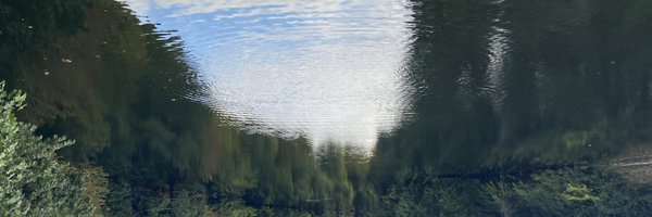 mvpgomes Profile Banner