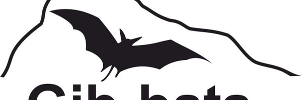 Batman_Shipman Profile Banner